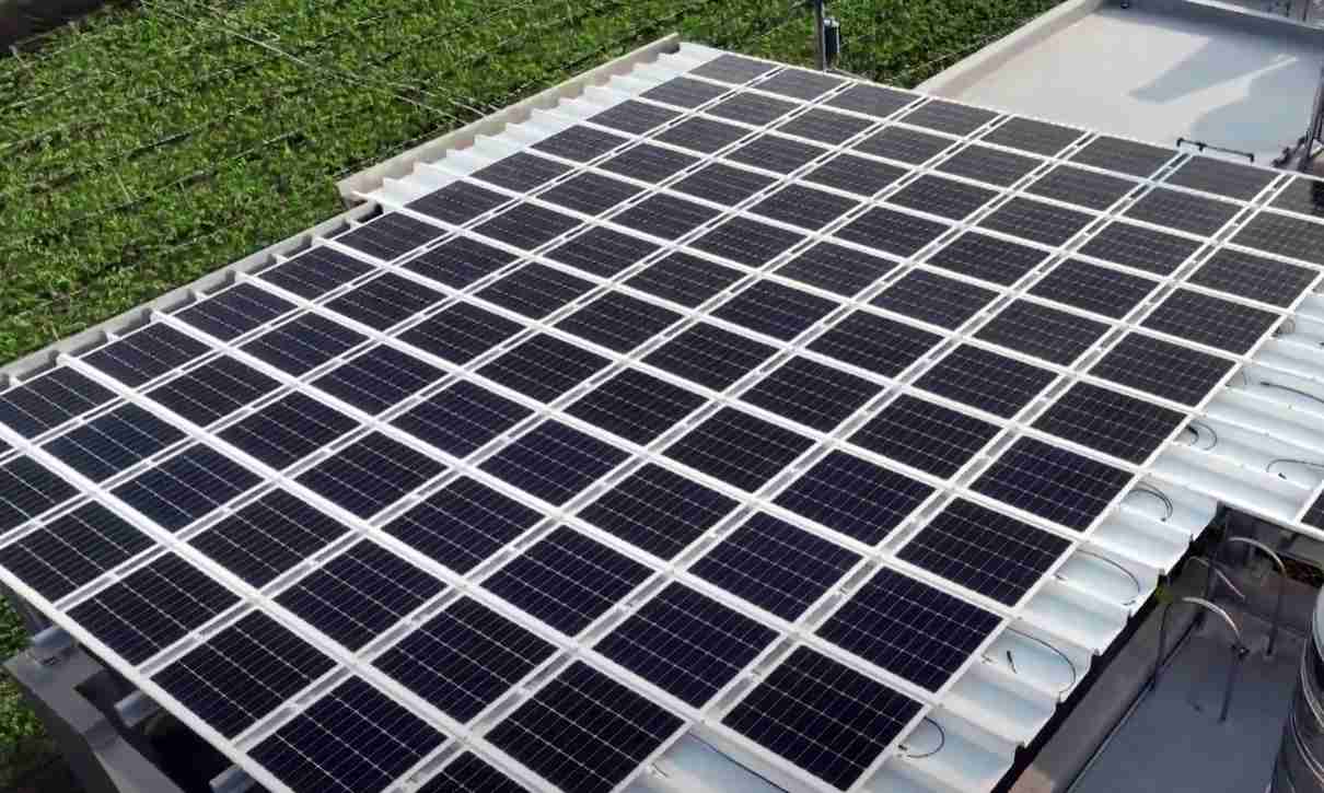 菠菜论坛SunSteel光电浪板升级双玻结构，，，以提升机械负载强度及气候耐候度，，，可广泛运用于多元场域