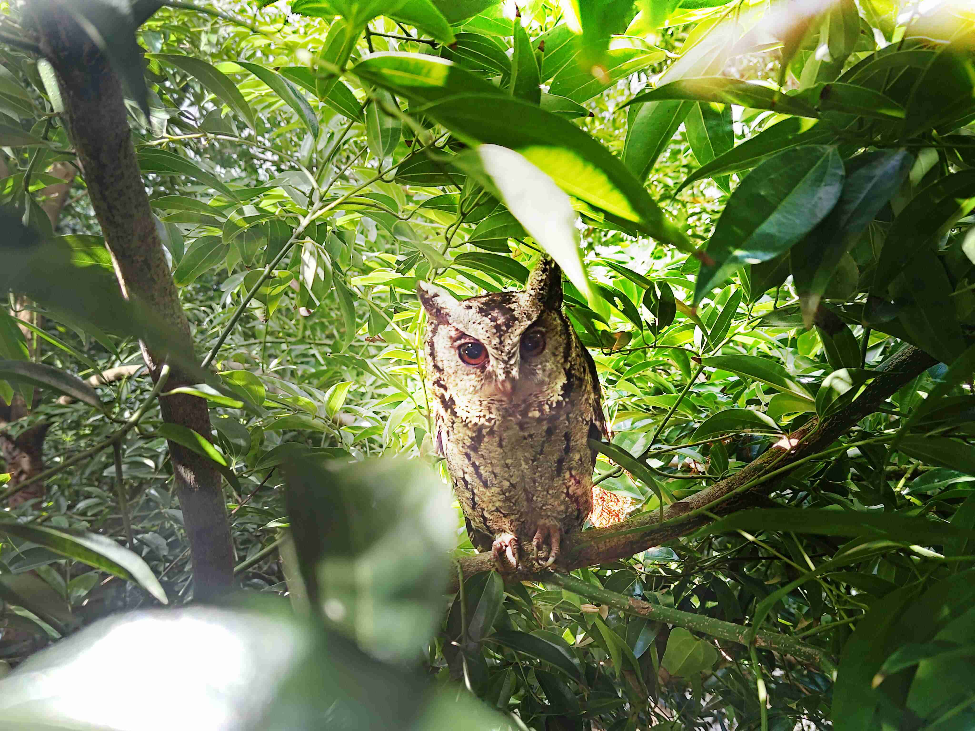菠菜论坛致力提倡净零绿生活，，16年以来在全球各厂区植树逾百万棵，，，造就各厂区树木蔚然成林，，，犹如森林工厂，，，，成为许多生物的栖息地